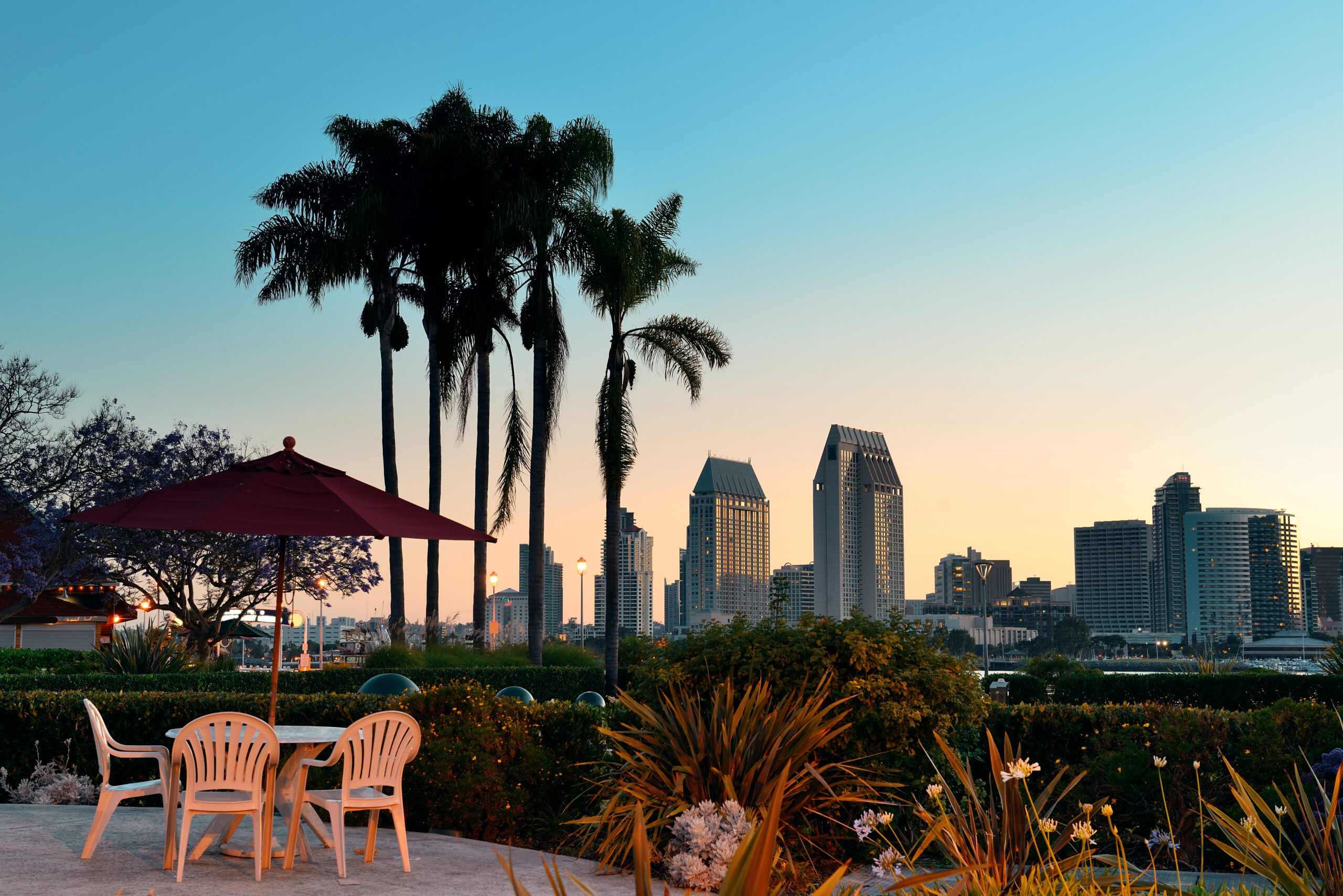 /images/san-diego-dawn-early-morning-with-palm-tree-silhouette-scaled-1.jpg